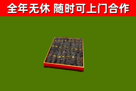 兰溪回收海参